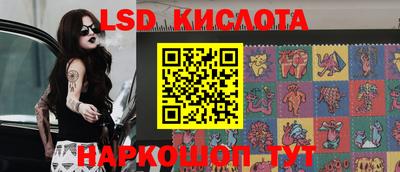 ECSTASY Гай