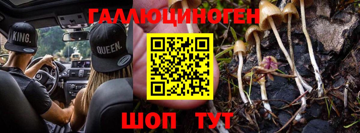 Менделеевск  Псилоцибиновые грибы прущие грибы  Вход с VPN 